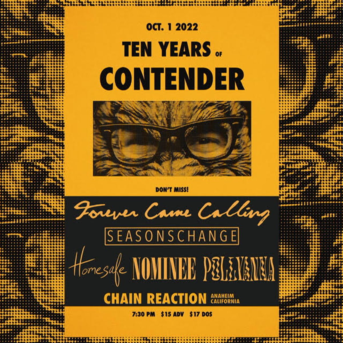 Forever Came Calling: 10 Years of ‘Contender’